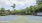 Tennis courts surrounded by trees