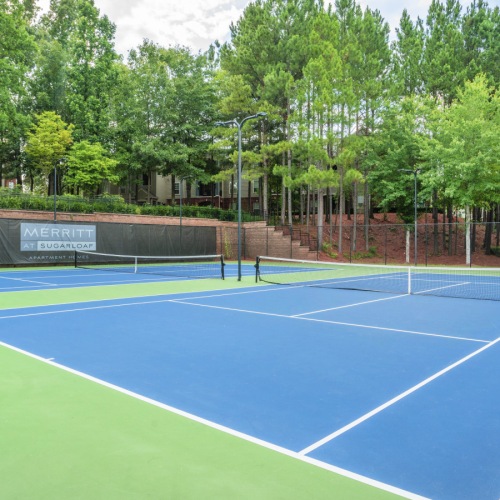 Tennis courts surrounded by trees